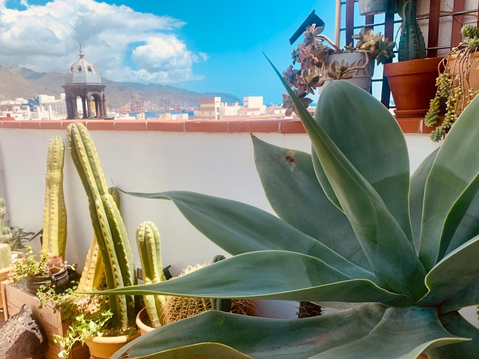 Апартаменти Atico Con Terraza, Vistas Panoramicas Y Parking Санта-Крус-де-Тенеріфе Екстер'єр фото