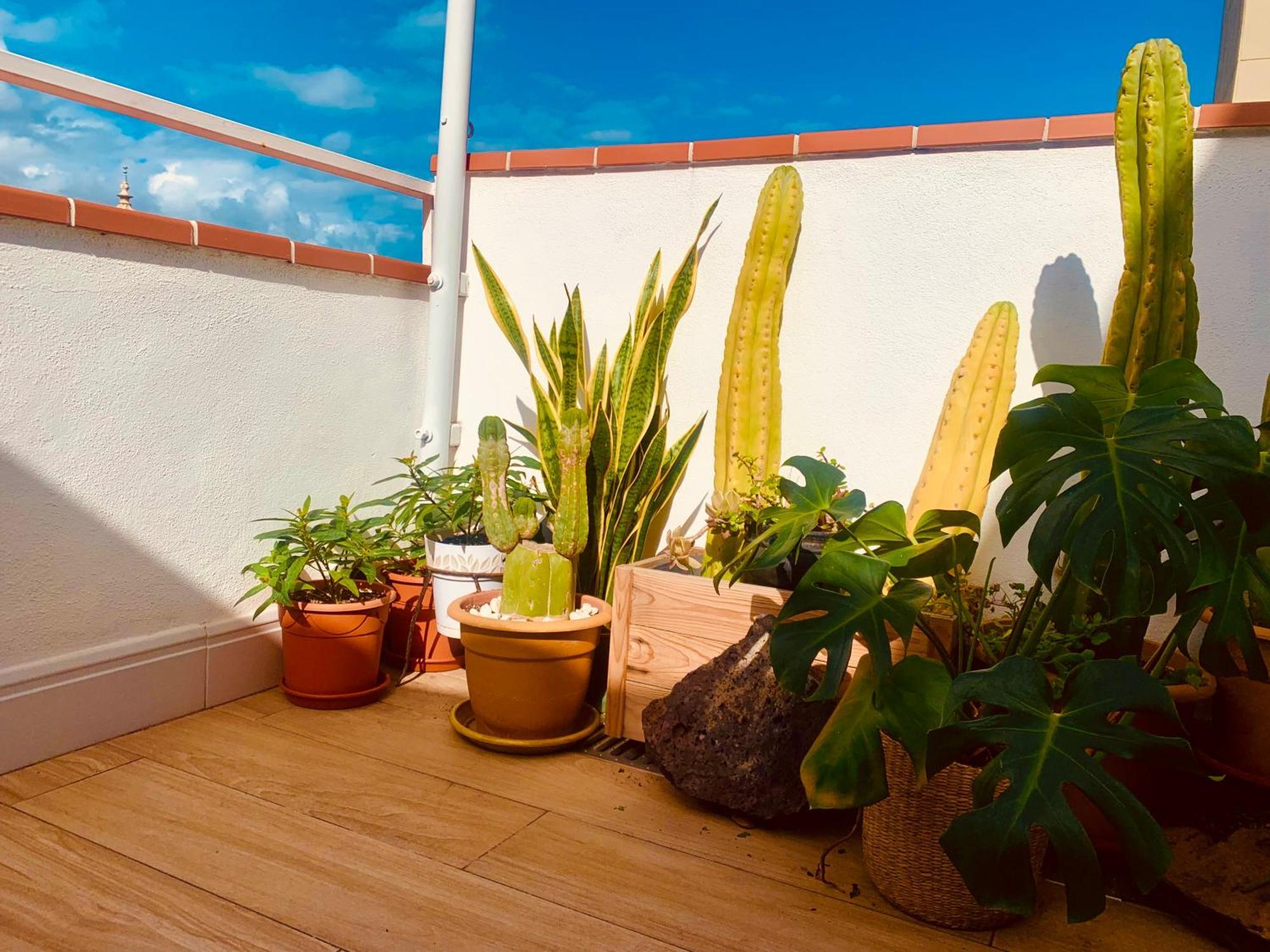 Апартаменти Atico Con Terraza, Vistas Panoramicas Y Parking Санта-Крус-де-Тенеріфе Екстер'єр фото